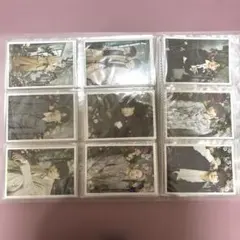 超特急 Rail is Beautiful 生写真 ソロ 9枚