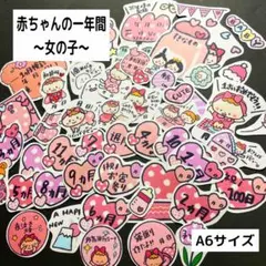 【209】赤ちゃんの1年間 女の子 母子手帳 記録 プレママ マタニティ ベビーのサムネイル