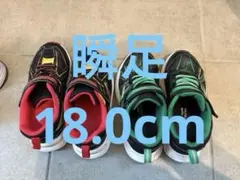 キッズスニーカー シュンソク　瞬足　黒/赤/緑　スーパースター　バネのチカラ