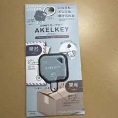 Item thumbnail for item 3ab55f2f-e96e-4765-bd2f-d1e4e5c1ecd8