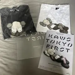 KAWS Tokyo FIRST 限定ショッパー　会場限定パンフ　Mサイズ