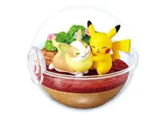 ポケモン　リーメント　テラリウム　ピカチュウ＆ワンパチ