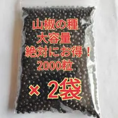 大容量】和歌山県産 ぶどう山椒の種 40g (約2000粒) 栽培・食用 2袋