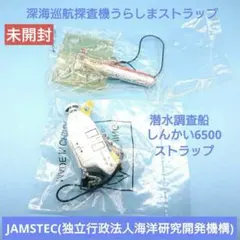 希少　美品　しんかい6500　海洋科学技術センター　記念品　ガラス細工　置物 希少 美品 しんかい6500 海洋科学技術センター 記念品 ガラス細工 置物