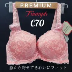 C70 トリンプ プレミアム レッドレーベル0084 ブラジャー #3