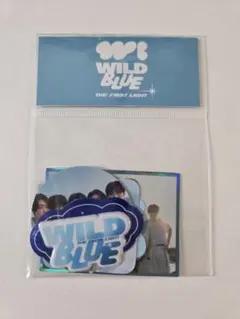 WILDBLUE　 ステッカーセット 　The First Light