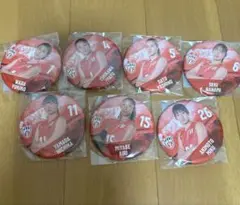 モバガチャ バレーボール女子日本代表 アンブレラマーカー・缶バッジ