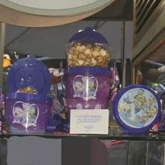 香港ディズニー ダッフィーフレンズ ポップコーンバケット 日本未発売 限定