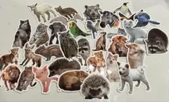 Item thumbnail for item d8cb83bf-30a3-444b-87cc-14e643fe9296