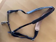 Item thumbnail for item fdd8c747-5626-4e02-8763-b8188d3f2af5