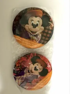 東京ディズニーリゾート　イマジニング　ミニー　缶バッジセット　秋