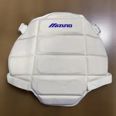 Item thumbnail for item 8aeed180-198d-4d94-81f9-e257ebc93777