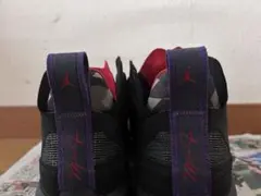 Item thumbnail for item 1b13a3f8-4450-48ab-a66e-962a935a2a76