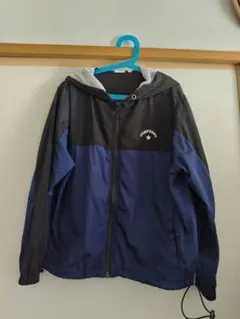 Item thumbnail for item 03f2835d-b3f1-49ed-a19f-69b680787336