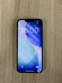 Apple iPhone 13 Pro ゴールド