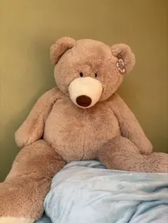 タグ付き　美品　コストコ　くまぬいぐるみ