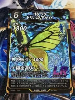 ゴクラクトリバネアゲハ