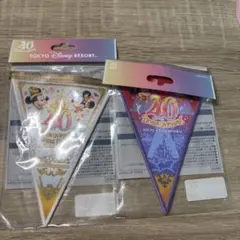 東京ディズニーリゾート 40周年ガーランド