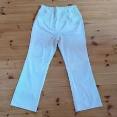 妊婦用　ナガイレーベンMサイズ