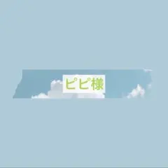 ピピ様専用ウィッグオーダー確認ページ