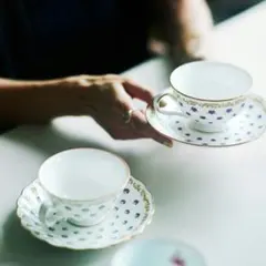 2026年最新】ノリタケ カップ ソーサー ビオラの人気アイテム - メルカリ