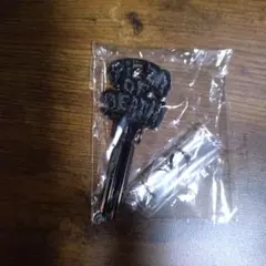 Pizza of death 鍵　横山健　ken yokoyama ハイスタ