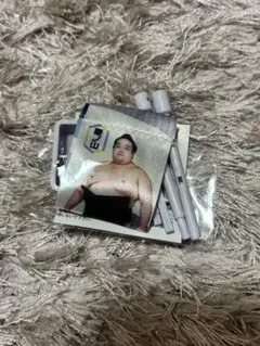 Item thumbnail for item 4423d432-ab36-49d6-8f0b-3a06ffd7edbe