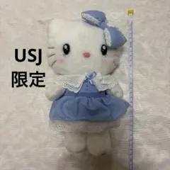 サンリオ　ハローキティ　USJ限定　ぬいぐるみ ブルー ドレスのサムネイル