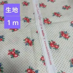 USAコットン シーチング さくらんぼ？　moda アイボリー