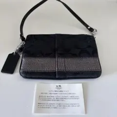 Item thumbnail for item ef3a2f69-a32c-497e-8dad-9d23224695d8