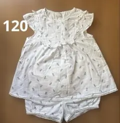 プティマイン　セットアップ120