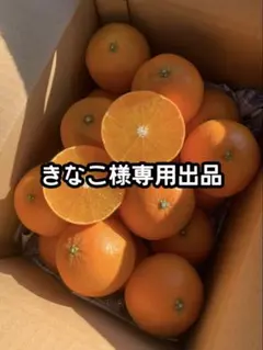 きなこ様専用出品