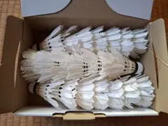 2025年最新】ノックシャトルの人気アイテム - メルカリ