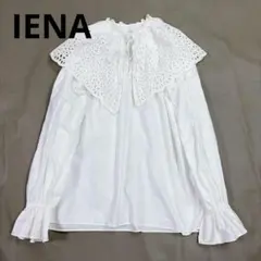 IENA イエナ カットワークレース フリルカラーブラウス　アイレットカラー白