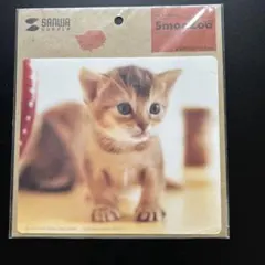 マウスパッド　アビシニアン