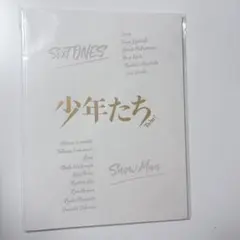 少年たち パンフレット SixTONES SnowMan