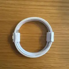 Apple純正　Type-C to C ケーブル