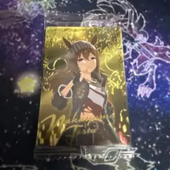ナカヤマフェスタ】ウマ娘 ツインウエハース セット - メルカリ