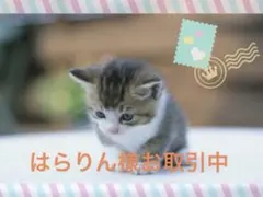 はらりん様 リクエスト 3点 まとめ商品