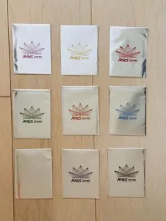 Snow Man Dome Tour RAYS チケット風カード 9種類 セット