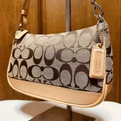 【極美品】COACH アクセサリーポーチ シグネチャー デミバッグ Y2K