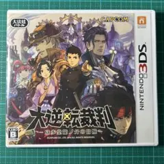 【動作確認済】 ニンテンドー 3DS 大逆転裁判　成歩堂龍ノ介の冒険