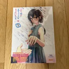 2026年最新】やはり俺の青春ラブコメはまちがっている。完 初回限定版