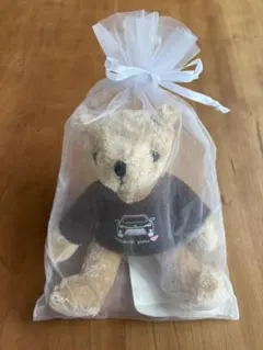 Item thumbnail for item b597d7b9-4d57-402d-848f-bd64f48e5bc8