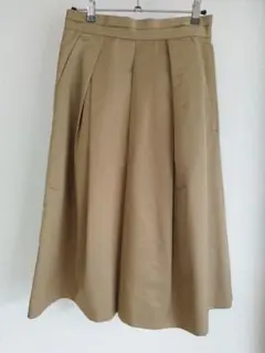 DIRECTOIRE(ディレクトワール) プリーツフレアスカートのサムネイル