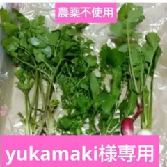 yukamaki様専用　春の七草3セット　9日発送