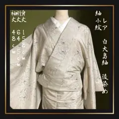 2025年最新】高級紬の人気アイテム - メルカリ