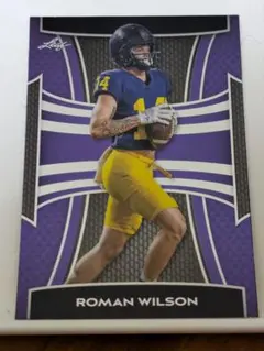 Item thumbnail for item eb2ad40e-418f-4051-88c2-eb018cbbd4db