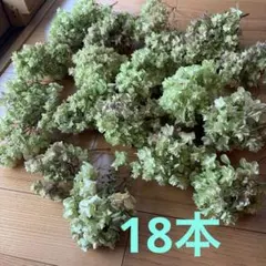 ②カシワバアジサイドライフラワー18本のサムネイル