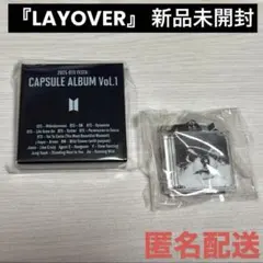 LAYOVER ★ 新品未開封BTS FESTA カプセルアルバム テテ V